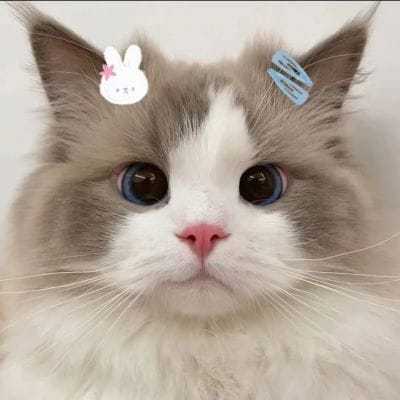 Irfan Hakim avatar