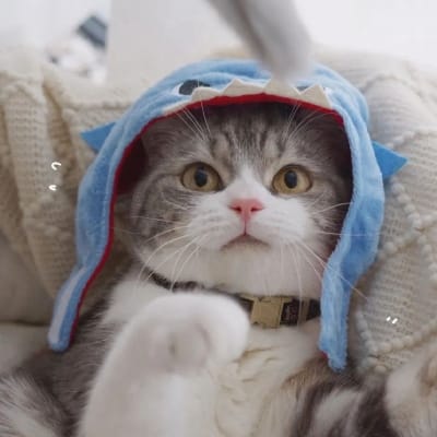 Andi Saputra avatar